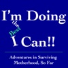 I'm Doing the Best I Can!! Adventures in Surviving Motherhood, So Far artwork