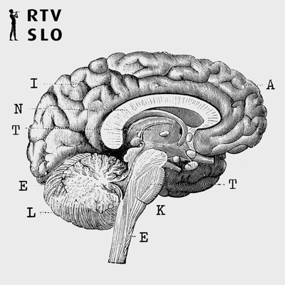 Intelekta:RTVSLO – Prvi