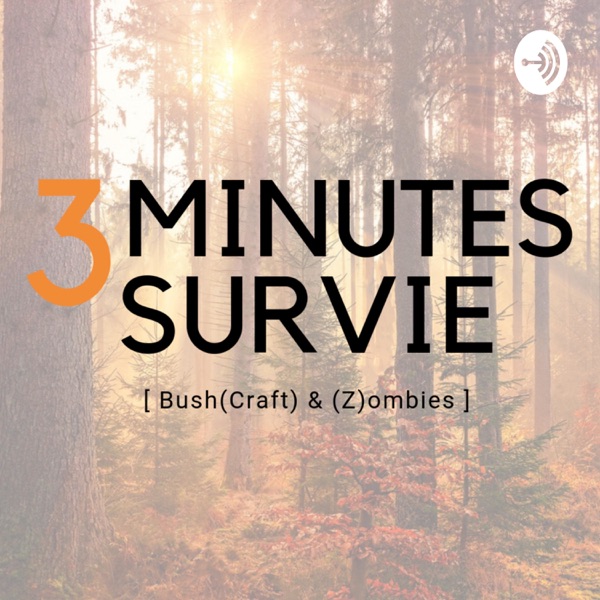 3 minutes survie