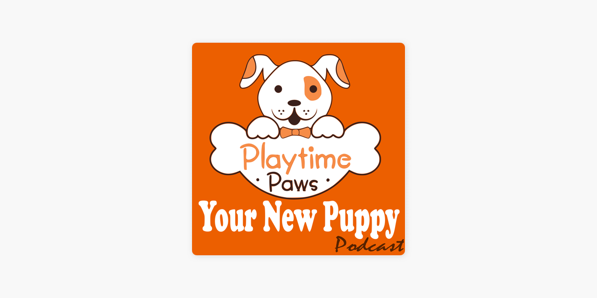 Your new puppy llc 2025
