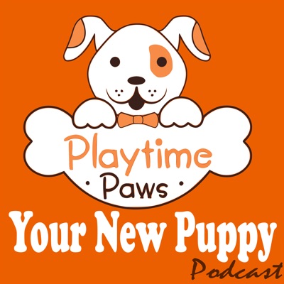 YNP #090: When Your Dog Hates the Rain