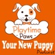 YNP #095: When Things Go Wrong Between the Kids and Dog: With Justine Schuurmans