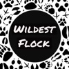 Wildest Flock artwork