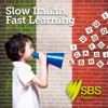 Slow Italian, Fast Learning - Slow Italian, Fast Learning artwork