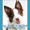 Alive Again - Pet Reincarnation on Pet Life Radio (PetLifeRadio.com) - Brent Atwater