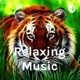 Relaxing Music