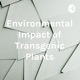 Environmental Impacts of Transgenic Plants