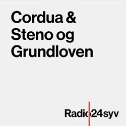 Cordua & Steno og Grundloven