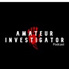 Amateur Investigator artwork