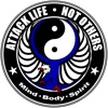 Attack Life, Not Others artwork