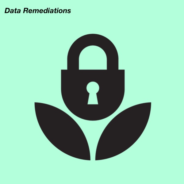 Data Remediations