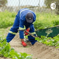 Efficiency via division of labour