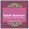 Sahih Bukhari The Book Of The Characteristics Of The Prayer artwork