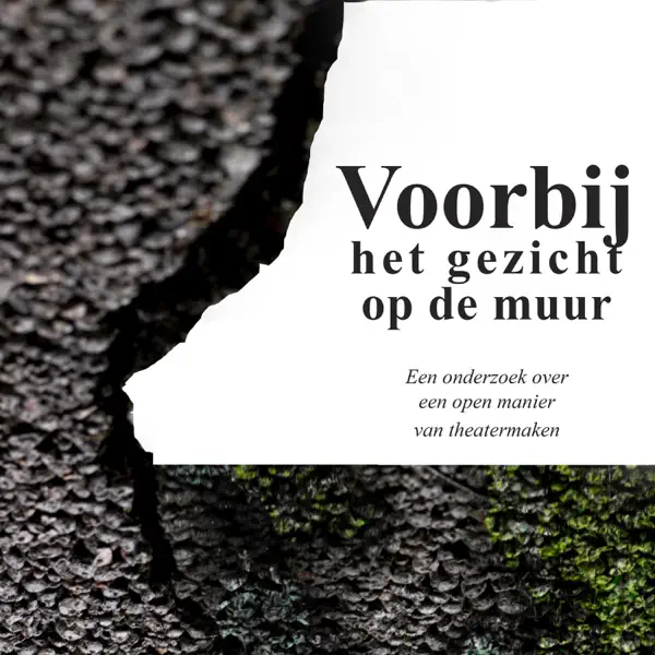 Voorbij het gezicht op de muur