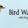 Bird Watch with Roger Taylor artwork