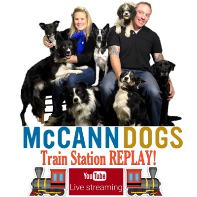 McCann Dog Training - Train Station Replay