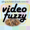 VideoFuzzy artwork