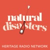 Natural Disasters artwork