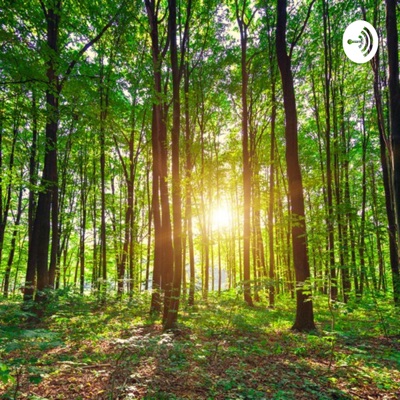 La Forêt Complice De L'équilibre Collectif:Isabelle Tanguay