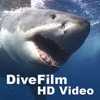 DiveFilm HD Video artwork