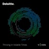 Thriving in Volatile Times artwork