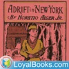Adrift in New York by Horatio Alger, Jr. artwork