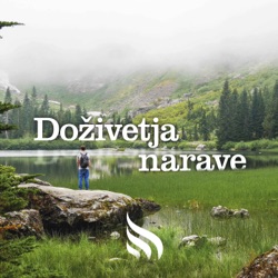 50 let gozdnih učnih in tematskih poti v Sloveniji