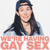 We're Having Gay Sex artwork