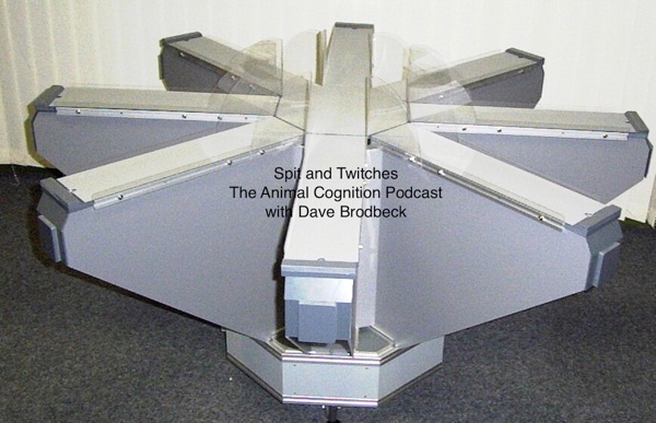 Spit and Twitches: The Animal Cognition Podcast