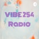 VIBE 254 Radio
