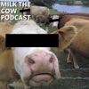 Milk the Cow Podcast artwork