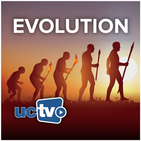 Evolution (Audio)