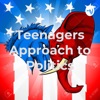 Teenager's Approach to Politics artwork