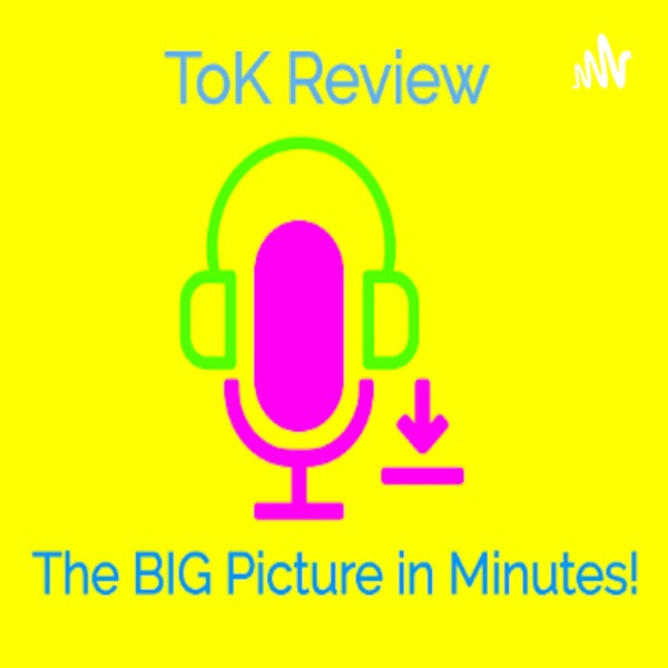 ToK Review - The Big Picture in Minutes!