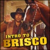 Intro to Brisco artwork