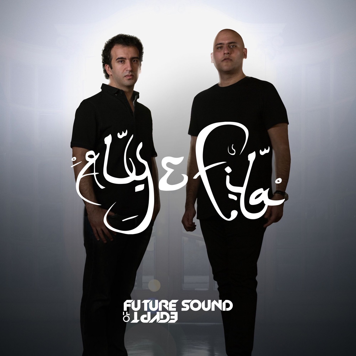 Aly & Fila pres. Future Sound Of Egypt Radio – Podcast – Podtail