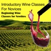 Introductory Wine Classes for Novices artwork