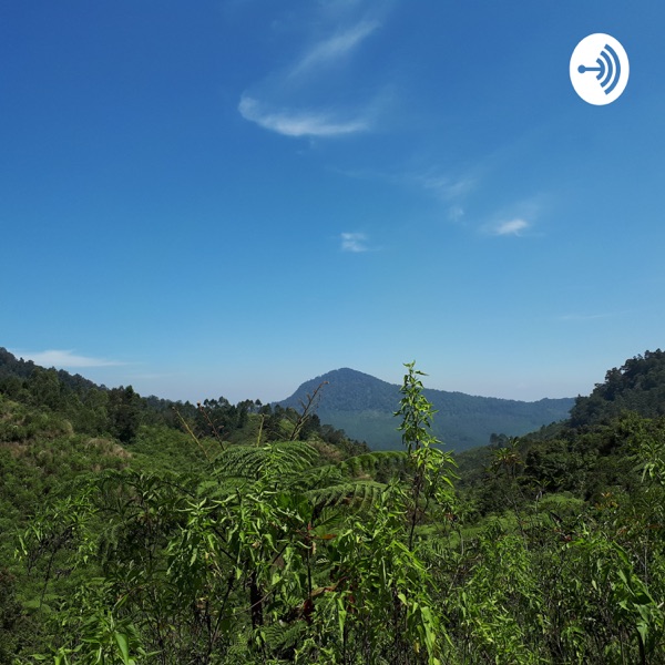 BINCANG ALAM