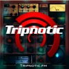 Tripnotic Downtempo Lounge artwork