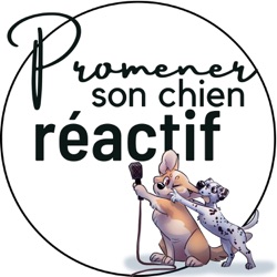 52. Est-ce qu'un chien réactif c'est un chien mal éduqué?