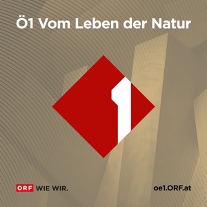 Vom Leben der Natur (11.10.2019)