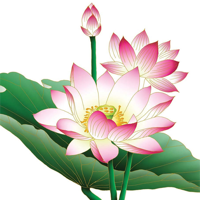 Bambous, Pivoines et Melons d'eau podcast