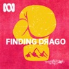 Finding Drago | Finding Desperado artwork