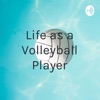 Life as a Volleyball Player artwork