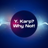 Y. Karp? Why Not! artwork