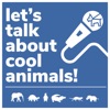 Let's Talk About Cool Animals! artwork