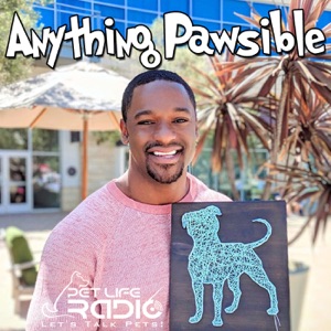 Anything Pawsible Episode 8 When Work-Life Balance Loses Its Balance. (And How to Fix It) with Josh Vaisman, Positive Psychology Strategist, CCFP, MAPPCP (PgC)