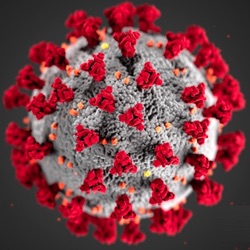 The Coronavirus Daily