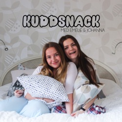 Kuddsnack