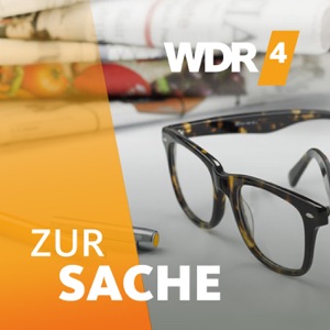 Kommentar: Mit Sinn und Verstand, bitte!